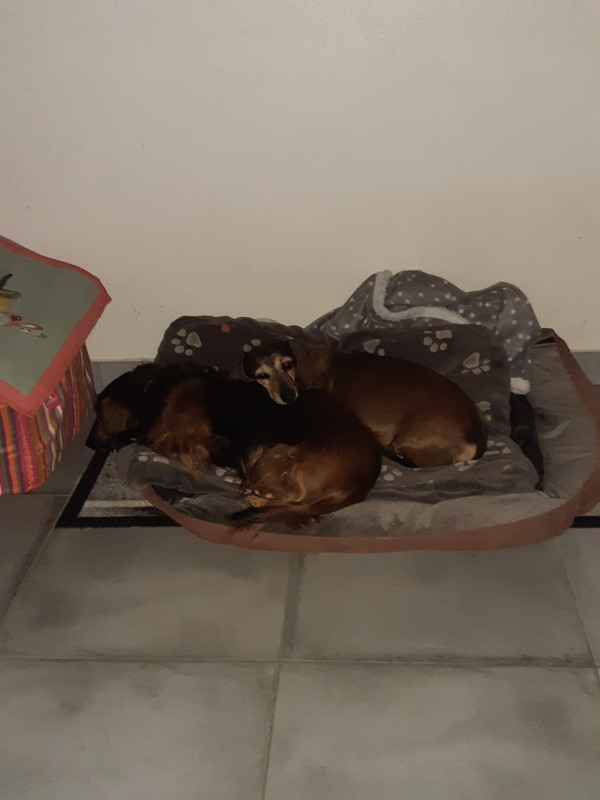 [Image: 20211109-165509.jpg]