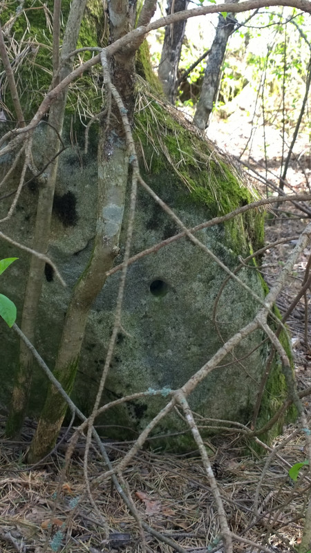 WP_20140518_13_42_40_Pro