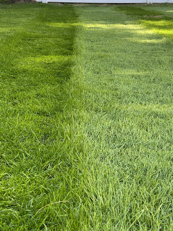 95FE0846-382E-4C1D-9A93-B5239BCE2841