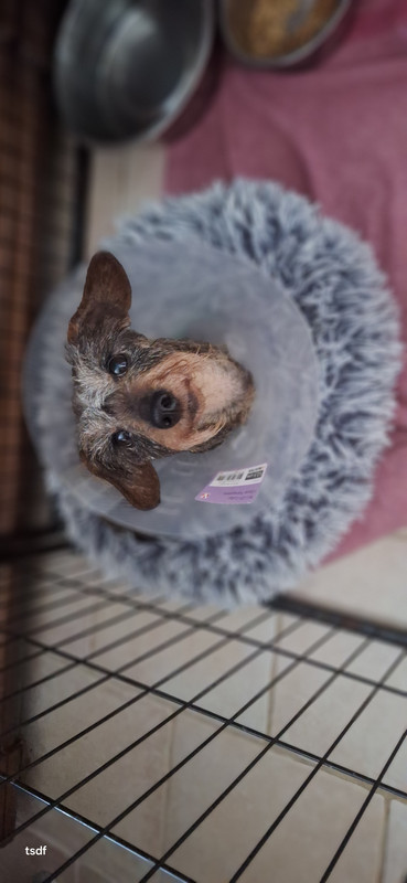 [Image: 20250316-103404.jpg]