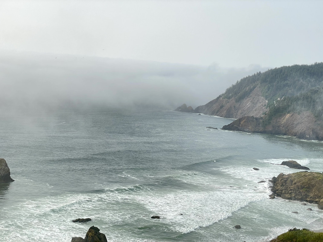 0D2EA6DB-D299-4986-9975-F04D833C70AE