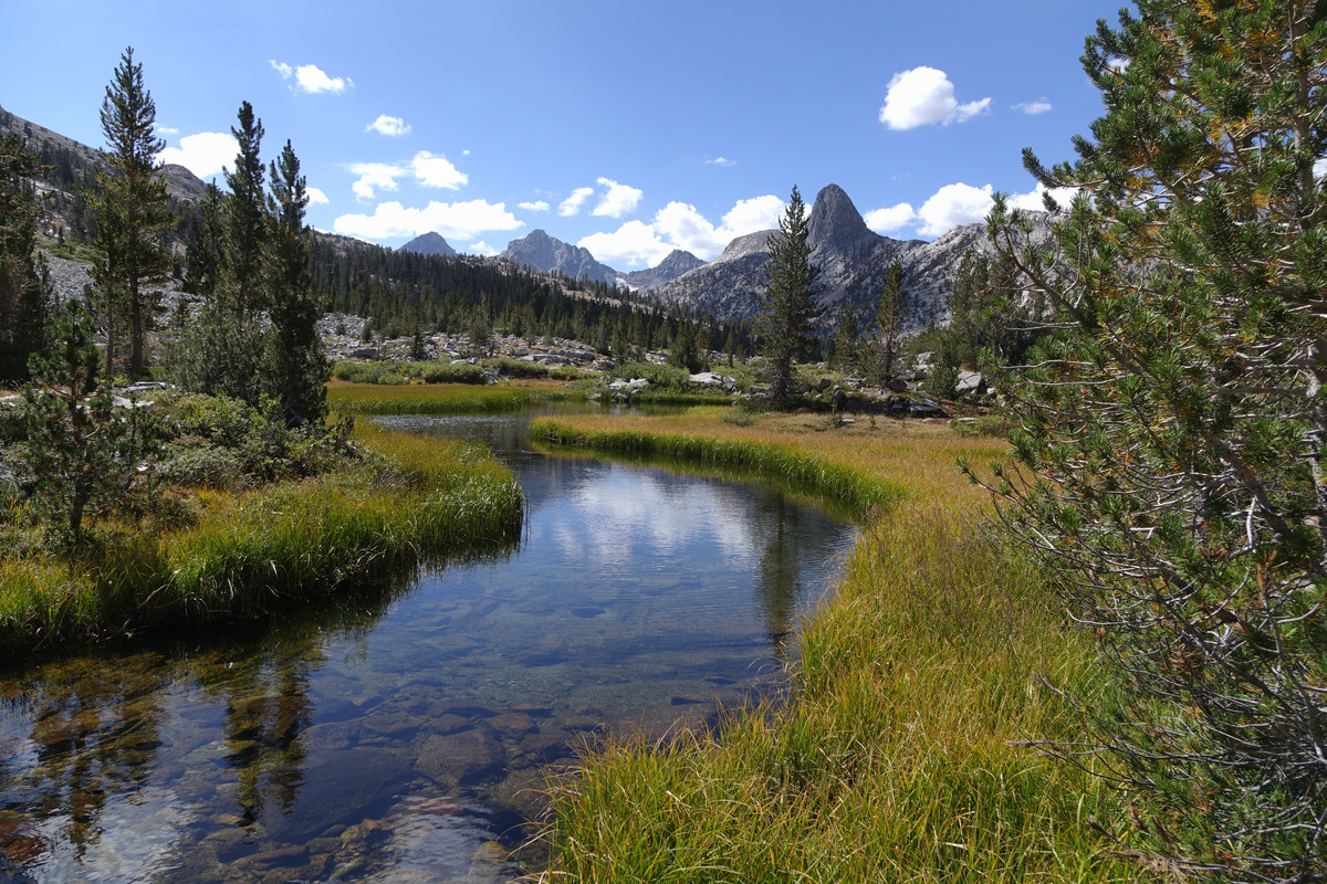 fish s dollar lk ar lk outlet DSC06801