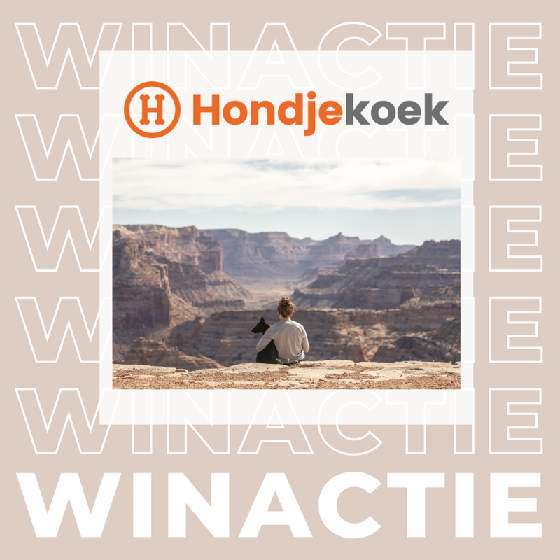 Winactie post enquete scriptir