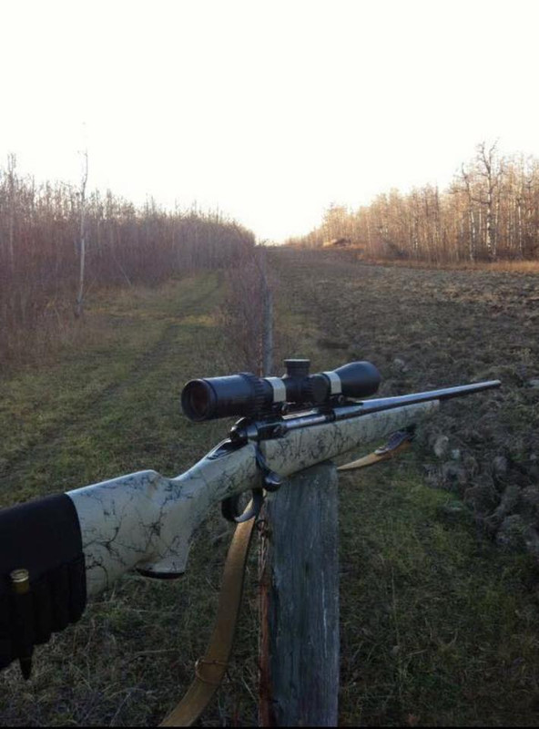 491959623_2463062120717790_1230175560972917206_n