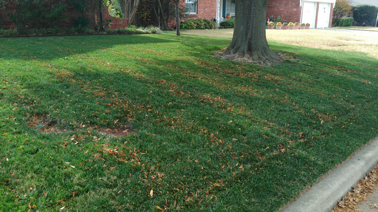 LeafMulchingSeason2017