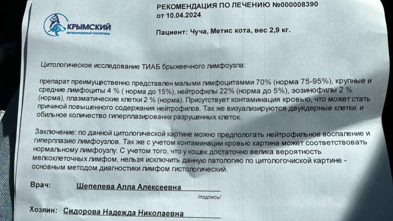 цитология лимфоузла 10.04