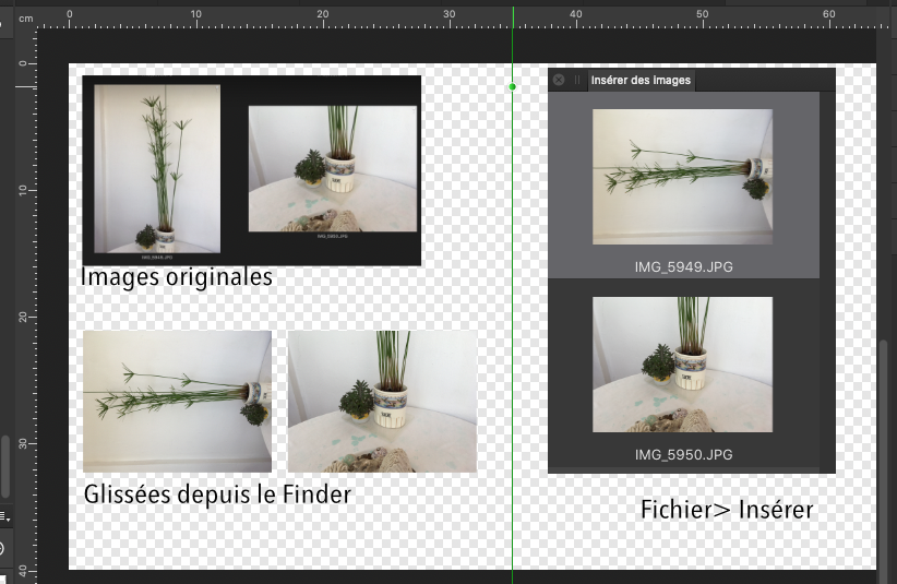tojoursmême import?