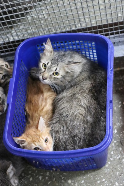 5DC7A996-2F7F-40D6-98E8-318DFC0050EE