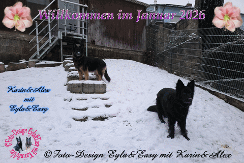Willkommen-im-Januar-2026-(09-01-26)