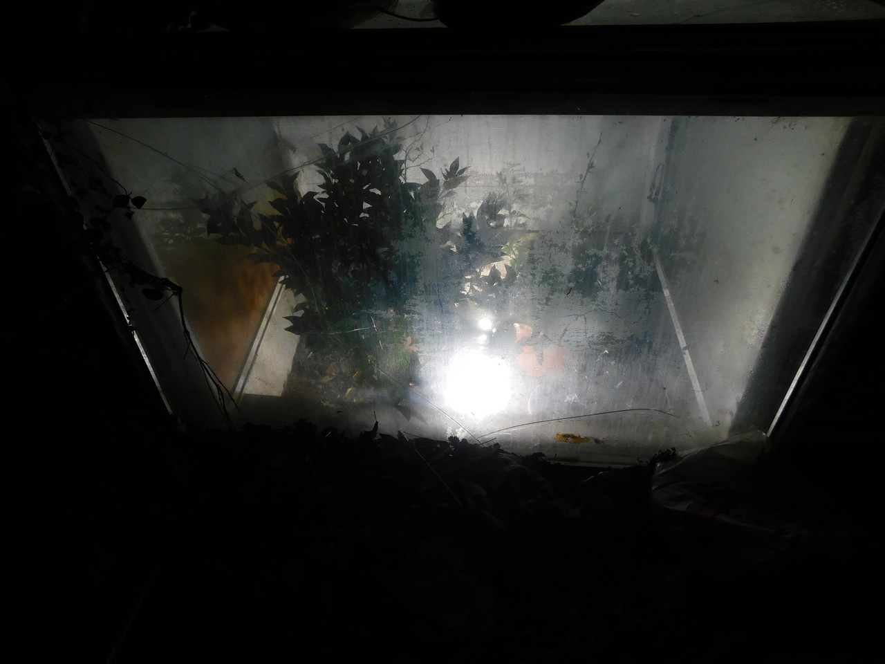 DSCN6075