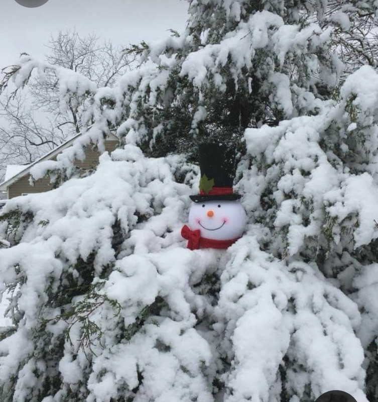 Screenshot_20240108_212000_Pinterest