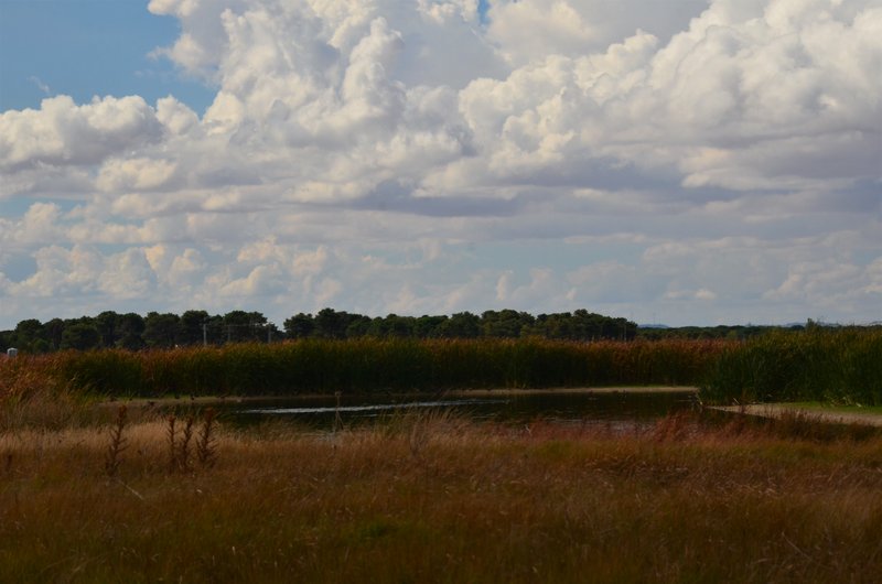 LAS LAGUNAS DE RASO-15-9-2022 - Valladolid y sus pueblos-2012/2016 (10)