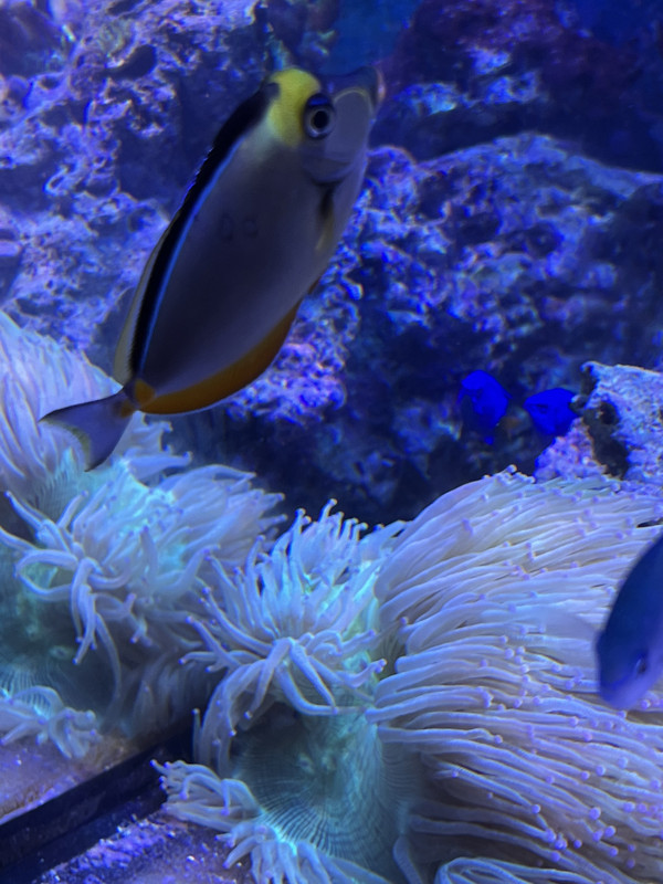 286CB2FE-F86E-478A-B071-AD106AD7B9C0