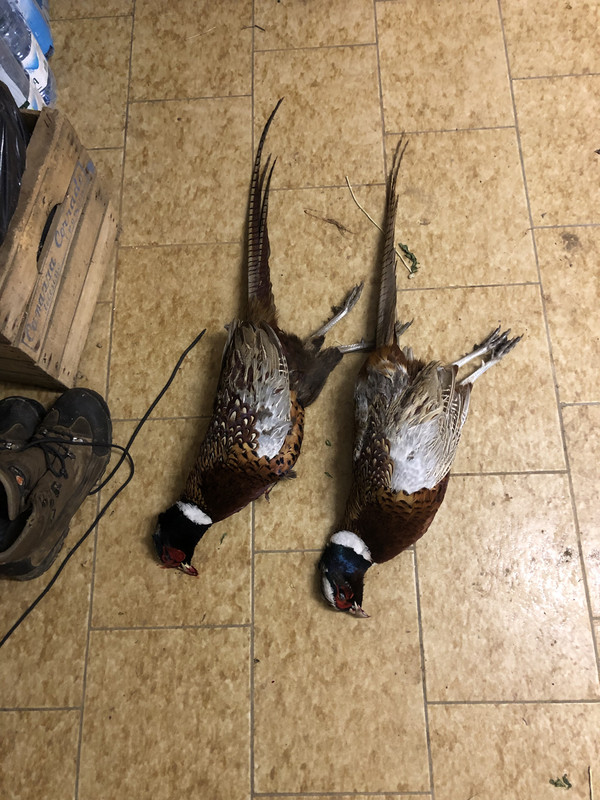 EA02522F-5713-4EBB-83D5-43B6D0990224