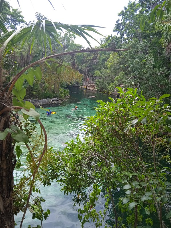 Cenote Yax-Kin - Foro Riviera Maya y Caribe Mexicano