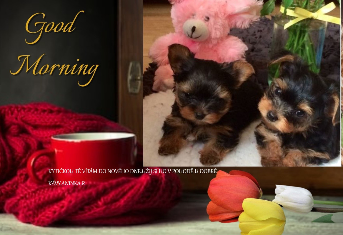 imikimi zo photo (7)