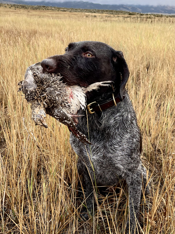 F49F9F12-FE96-48D2-874A-5E45D9237E06