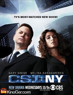 CSI: New York (2004)