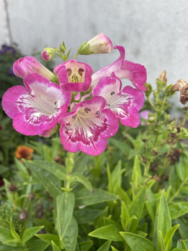 14703B0E-E1F7-4CBD-91A6-0BCEE0E7C571_1_105_c