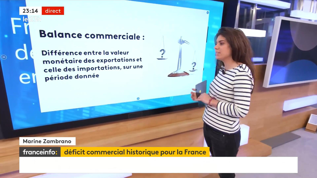 02.08 - 21.59.00 - Le 23H. Le Grand Jt Du Soir De France Télévisions,...-1.m4v_snapshot_00.17.41_[20