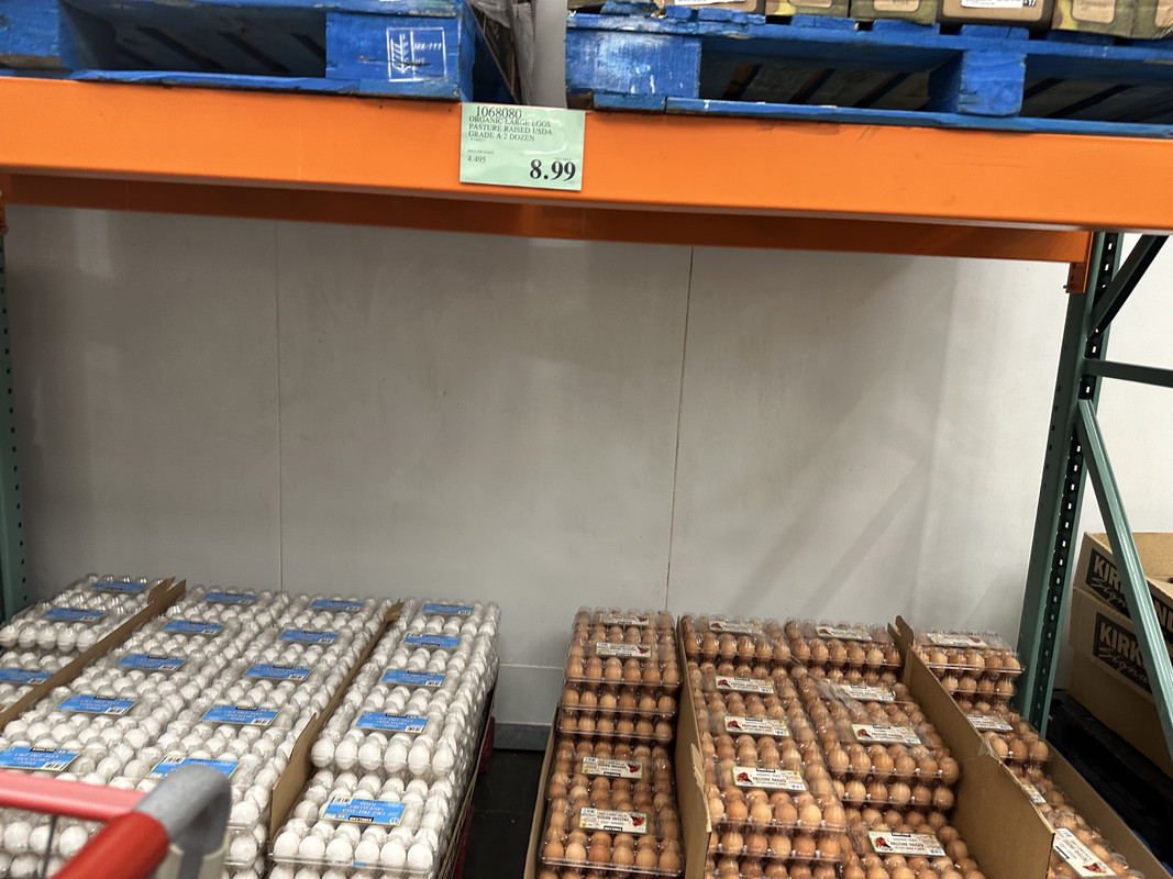 F34C47E7-8F1F-47FE-9F93-0166884A55CE