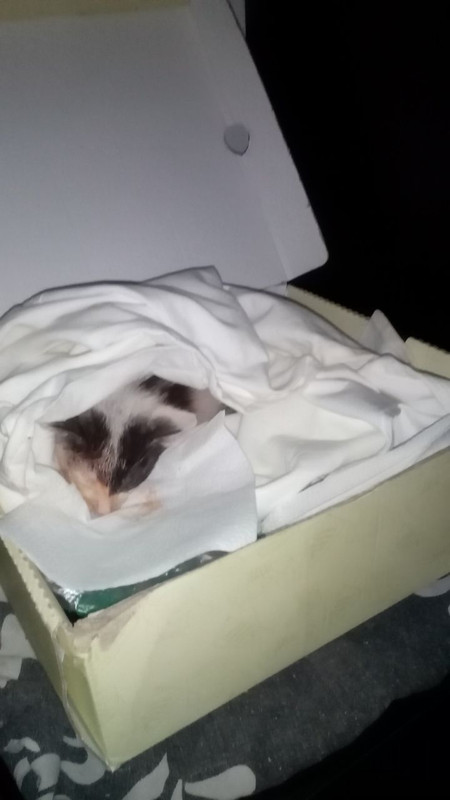 D53086B1-5ADA-4766-ABE5-765EEE74EB91