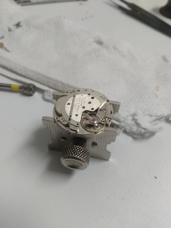 67835773_2257289121248087_1672831217092788224_n