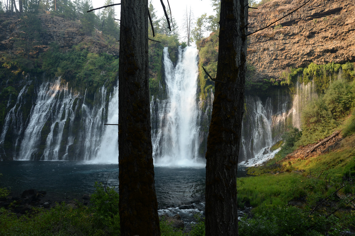 Árboles gigantes, fuegos y volcanes extintos - Oregon y California norte (2018) - Blogs de USA - Primeros días en el norte de California (24)