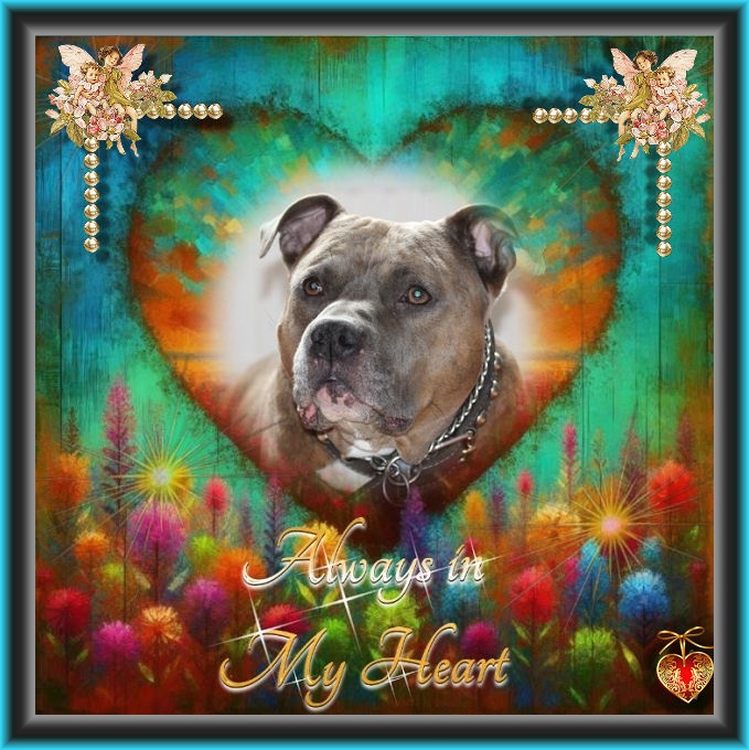 hond-van-joyce-nog-mooier