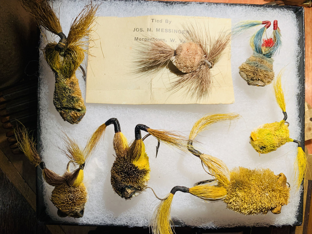 5681BD12-D5BB-41B6-8777-436E5A90BC14