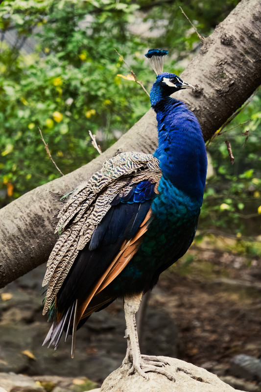 korea2024LRexport-44