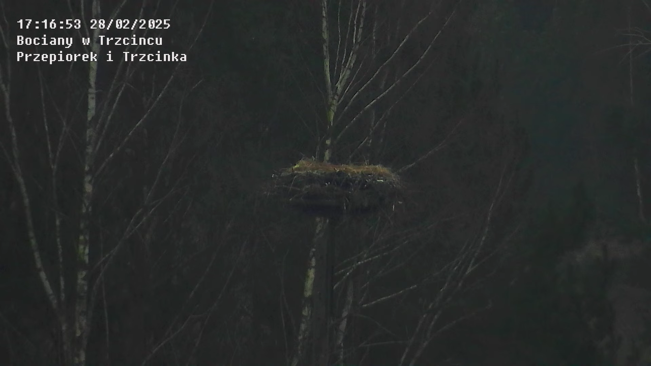 28022025nowegniazdozbliska