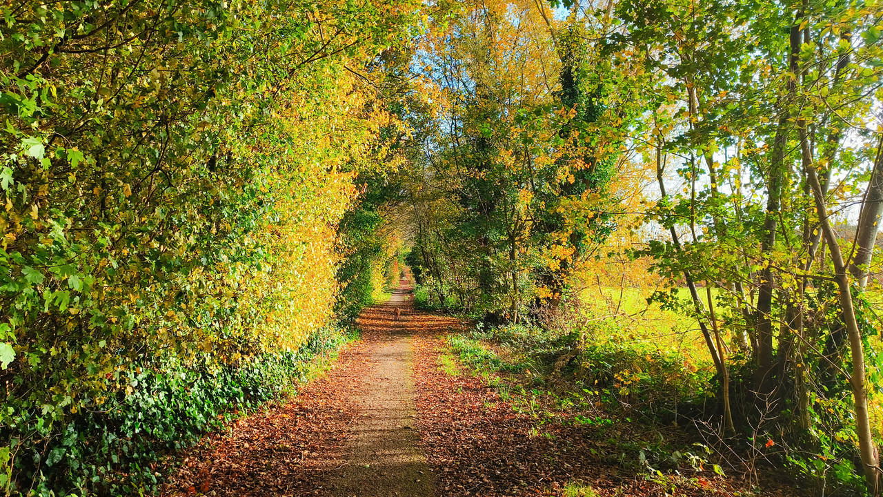 Lumii 20251104 152612470