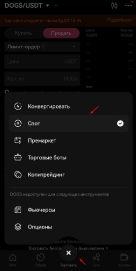article content image
