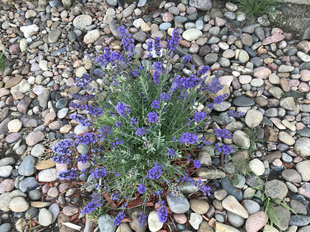 52BC0B4E-B185-49E9-B08E-890983693280