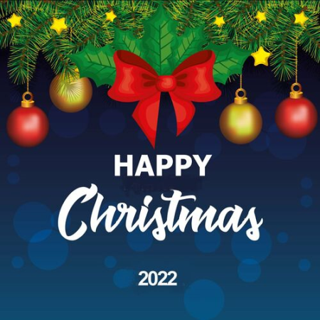 02b8b49d 456d 47bd 8c41 62c720effe76 - Happy Christmas 2022 (2022)