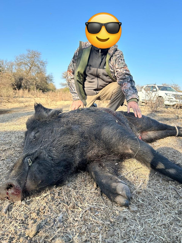 WhatsApp Image 2024-08-02 at 12.47.51