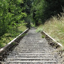 Drehersche Flügelbahn