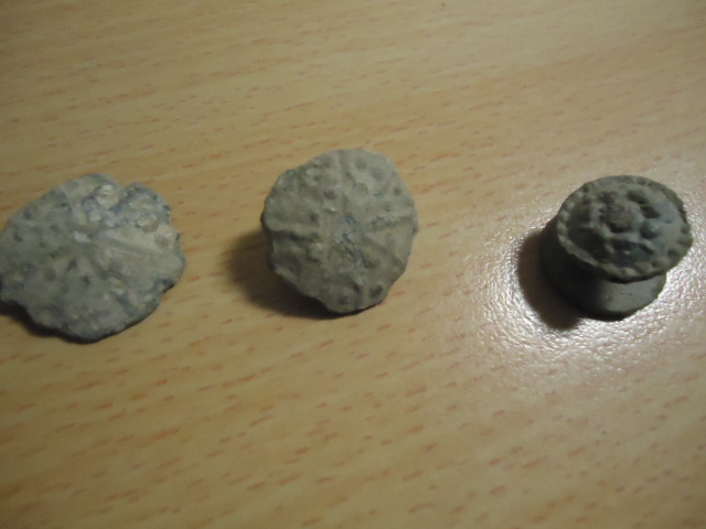 DSC01835