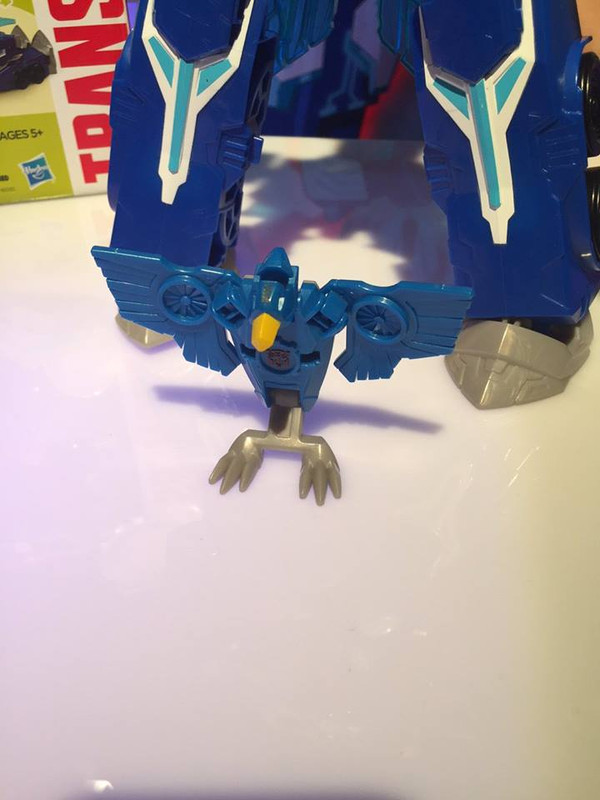 12743839_215992492084519_3729452388554896892_n