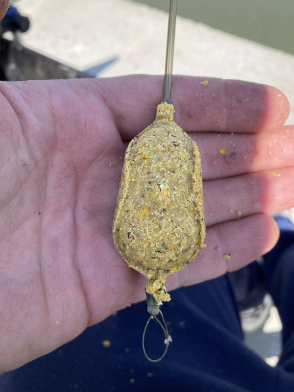 52B86B95-1CF2-4AF9-9346-9F4F4A2E50AE