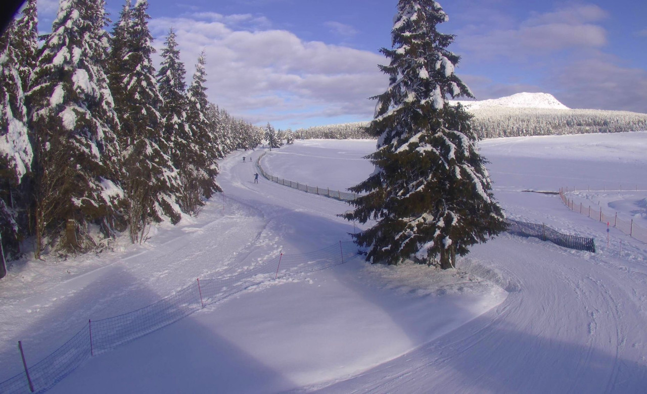 les-estables-ski-nordique-2025-02-01-16-