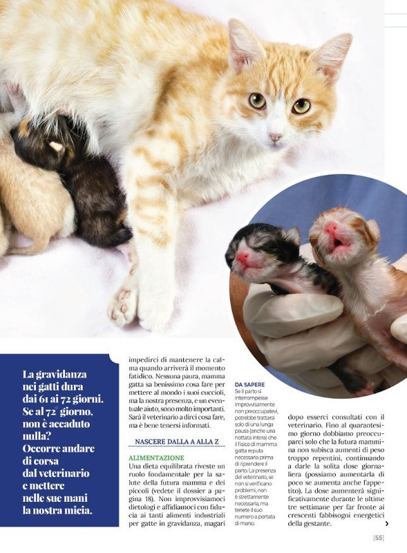 Ga Ma Ago-Set 2023 (12)