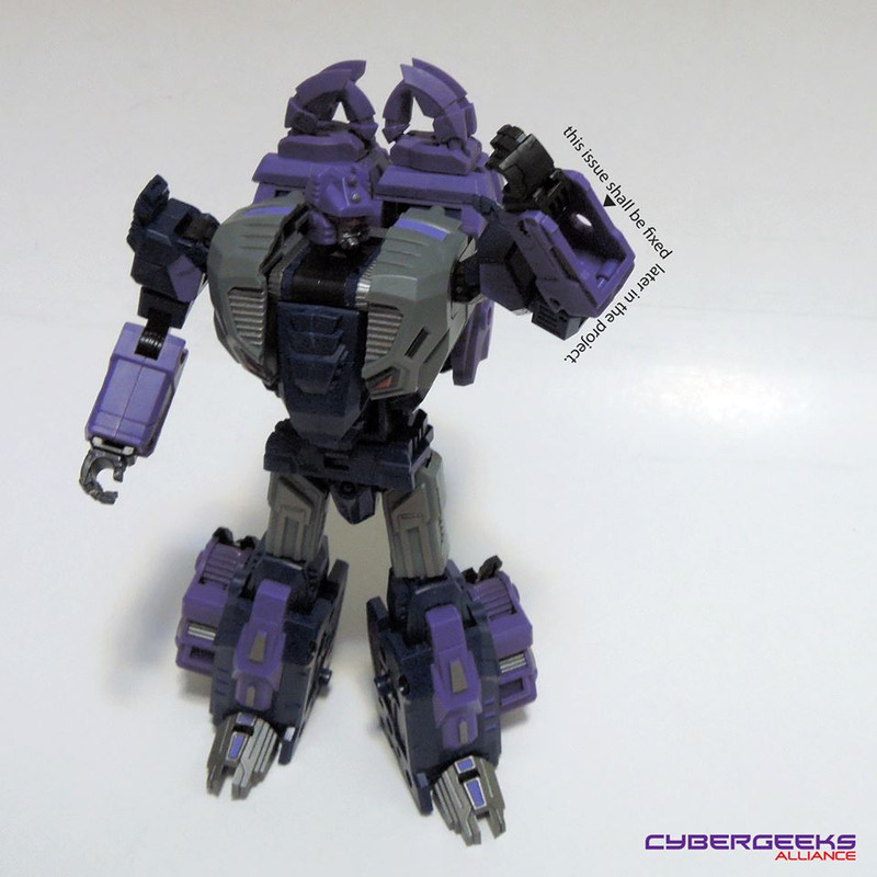 10015164_887717201240173_4390402227800468030_n