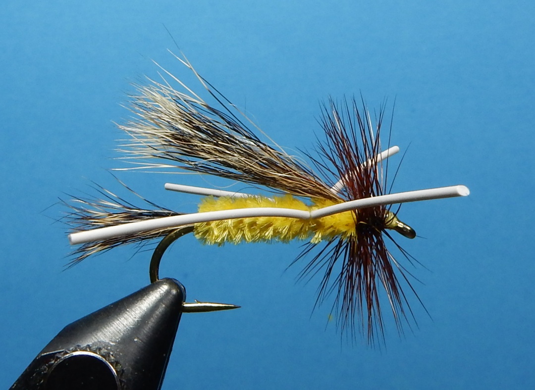 Woodchuck-Skunk-1080.jpg