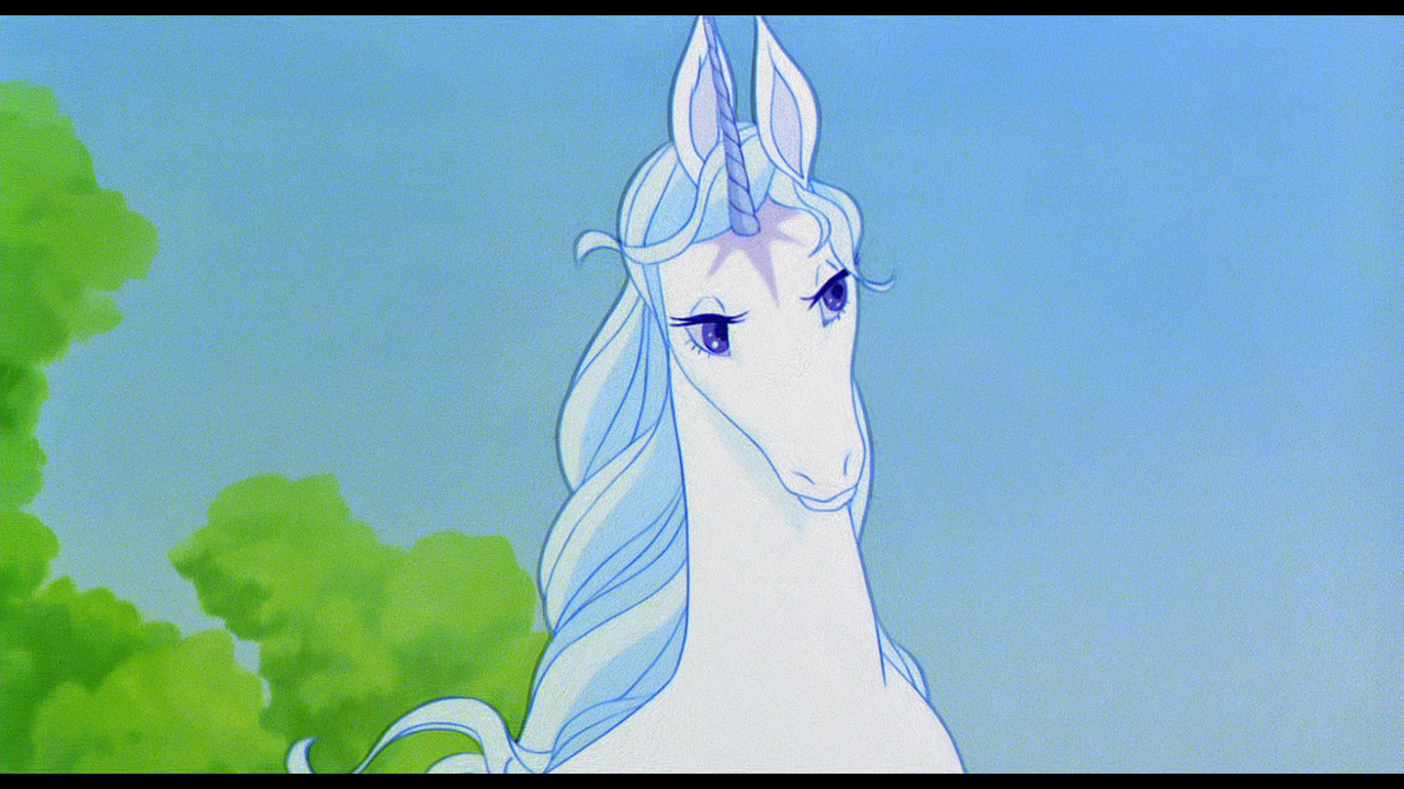 vlcsnap-2022-12-28-19h01m14s264