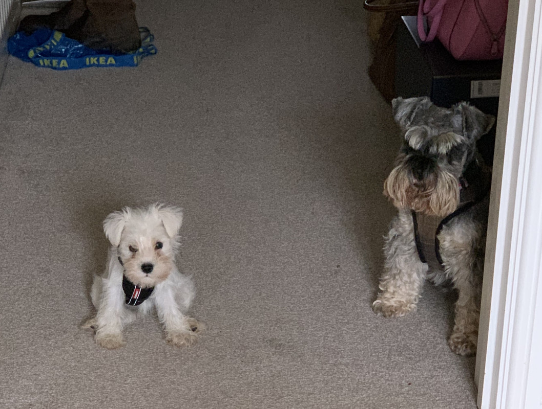 D0AC1B4F-6D3C-44D8-9265-76BE9EE5AAAF