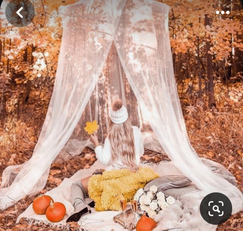 Screenshot_20231130_235040_Pinterest