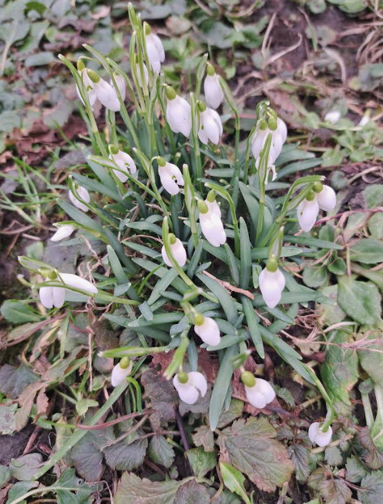 Snimka-zaslona-2026-02-03-143850