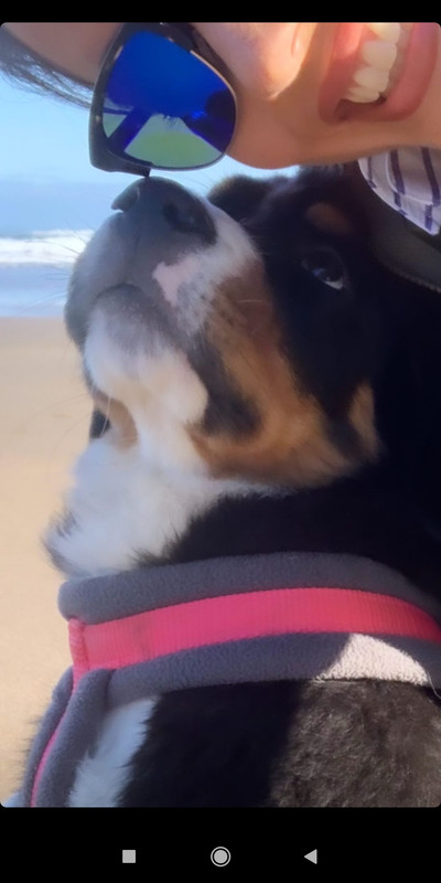 Screenshot_2021-01-16-19-56-08-310_com.instagram.android